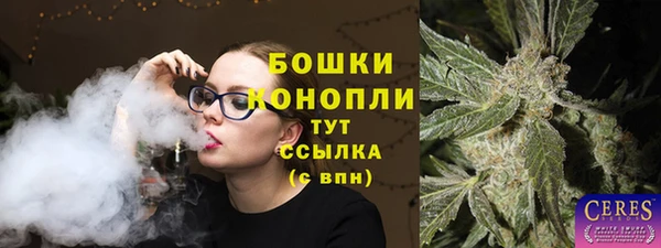 спиды Абаза