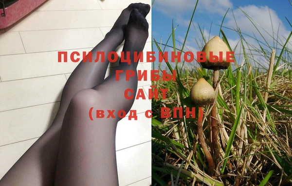 спиды Абаза
