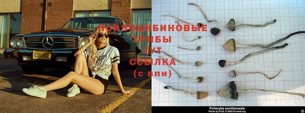 спайс Абинск