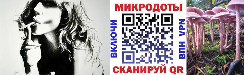 дарнет шоп  Черепаново  мега зеркало  Псилоцибиновые грибы Magic Shrooms 